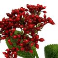 Floristik24 Berry branch rojo viburnum berries 54cm 4pcs