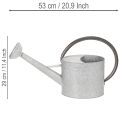 Regadera metálica vintage, gris plateada, elegante decoración de jardín, jarrón para flores, 53 cm de largo x 29 cm de alto. | Floristik24.es