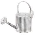 Floristik24 Maceta vintage de 17 cm de diámetro, regadera decorativa, maceta de metal estilo shabby chic.