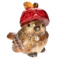 Floristik24 Figura decorativa de pájaro con gorro de manzana roja, decoración otoñal, 13 cm.