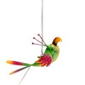 Floristik24 Pájaro para colgar verde, rosa, naranja 18,5cm