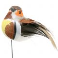 Floristik24 Mini pájaros en alambre blanco/marrón 5-7cm 16p