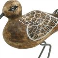 Floristik24 Escultura de pájaro de madera Decoración de baño Pájaro acuático H22cm