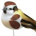 Floristik24 Decoración de primavera, pájaros en un alambre, pájaro artificial marrón, blanco H3cm 12pcs