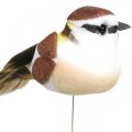 Floristik24 Decoración de primavera, pájaros en un alambre, pájaro artificial marrón, blanco H3cm 12pcs