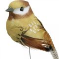 Floristik24 Primavera, pájaro en alambre, pájaros decorativos colores naturales H7.5cm 12pcs