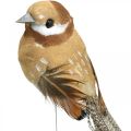 Floristik24 Primavera, pájaro en alambre, pájaros decorativos colores naturales H7.5cm 12pcs