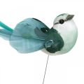 Floristik24 Pájaros decorativos, decoración de primavera, pájaros con plumas, verano, pájaros en alambre, colorido H3.5cm, 12 piezas