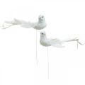 Floristik24 Palomas blancas, boda, palomas decorativas, pájaros en alambre H6cm 6pcs