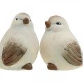 Floristik24 Pájaros de cerámica, primavera, pájaros decorativos blanco, marrón Al. 7/7,5 cm 6 uds.
