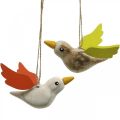 Floristik24 Deco pájaros madera para colgar pájaro primavera decoración 10,5cm 6uds
