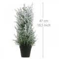 Floristik24 Enebro artificial en maceta planta artificial nevada H47cm