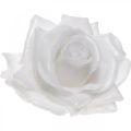Floristik24 Cera rosa blanca Ø10cm Flor artificial encerada 6pcs