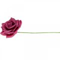 Floristik24 Rosas de cera rosas decorativas cera rosa Ø8cm 12p