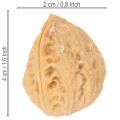 Nueces para decoración, producto natural, 3-4 cm, 300 g | Floristik24.es