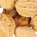 Nueces para decoración,