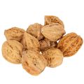Floristik24 Nueces, un producto natural para la decoración de mesas y proyectos de bricolaje. Nueces naturales, 4-5 cm, 300 g.
