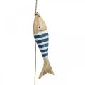 Floristik24 Percha decorativa marinera pez de madera para colgar azul oscuro L123cm