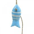 Floristik24 Percha decorativa marinera pez de madera para colgar pequeño azul claro L31cm