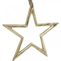 Floristik24 Estrella de decoración navideña, decoración de adviento, colgante de estrella Dorado B15.5cm