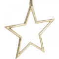 Floristik24 Adorno navideño estrella, Adorno adviento, colgante estrella Dorado B24.5cm