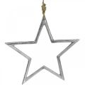 Floristik24 Estrella de decoración navideña, decoración de adviento, colgante de estrella plata AN24,5 cm