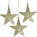 Floristik24 Adorno navideño estrella colgante brillo dorado 10cm 12pcs
