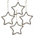 Floristik24 Adorno navideño estrella olmo estrellas para colgar blanco lavado 20cm 4uds