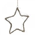 Floristik24 Adorno navideño estrella estrellas blancas lavadas para colgar olmo 30cm 4uds