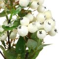 Floristik24 Ramas navideñas, snowberry, planta artificial nevada L58cm