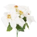 Floristik24 Flor de Pascua artificial, blanca, flor grande, planta decorativa, 40 cm