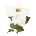 Floristik24 Flor de Pascua blanca artificial, decoración de rama florida grande, 65 cm, 2 piezas