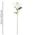 Flor de Pascua blanca artificial, decoración de rama florida grande, 65 cm, 2 piezas | Floristik24.es