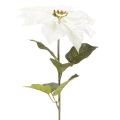 Flor de Pascua blanca artificial, decoración de rama florida grande, 65 cm, 2 piezas | Floristik24.es