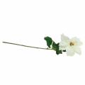 Flor de Pascua flor artificial blanca 67cm | Floristik24.es