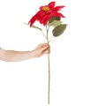Flor de Pascua artificial roja de un solo tallo, decoración de 82 cm. | Floristik24.es