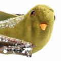 Floristik24 Adorno navideño pájaro en clip verde, purpurina 12cm 6pzs surtidos