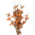 Rama artificial de espino blanco, decoración otoñal, 75 cm. | Floristik24.es
