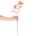 Rama artificial de espino blanco con hojas y bayas, 62 cm. | Floristik24.es
