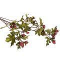 Rama artificial de espino blanco con bayas rojas, decorativa, 110 cm. | Floristik24.es