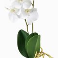 Floristik24 Orquídea Blanca en Púa Phalaenopsis Artificial Real Touch 39cm