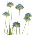 Floristik24 Flores de pradera azul L65cm 3pcs