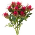 Floristik24 Rama de cardo rojo artificial para decoración, 67 cm, 3 piezas