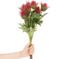 Rama de cardo rojo artificial para decoración, 67 cm, 3 piezas | Floristik24.es