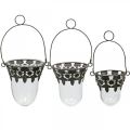 Floristik24 Linterna de cristal para decoración colgante 24/28/30cm juego de 3