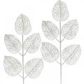 Floristik24 Decoración de invierno, hojas decorativas, rama artificial brillo blanco L36cm 10p