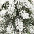 Decoración de invierno Árbol de Navidad en verde blanco Ø7cm H14cm 4ud | Floristik24.es