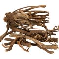 Floristik24 Ramas y portainjertos decorativos de madera, secados naturalmente, 18 cm, 500 g