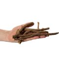 Ramas y portainjertos decorativos de madera, secados naturalmente, 18 cm, 500 g | Floristik24.es