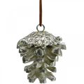 Floristik24 Conos decorativos de conos de pino para colgar plata H6cm